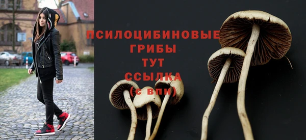метамфетамин Новозыбков