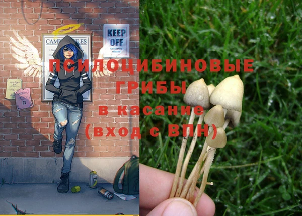 гашиш Новодвинск