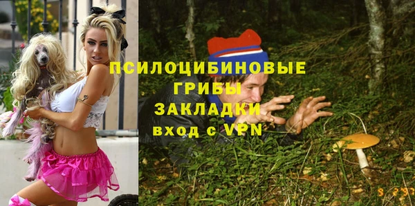 гашиш Новодвинск