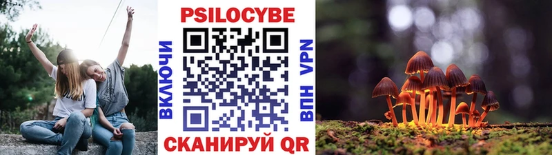 Купить закладки  Нарткала  Галлюциногенные грибы прущие грибы 